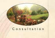 consultation