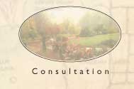 consultation