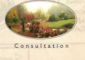 consultation